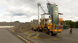 В Беларуси намолочено более 1 млн тонн зерна 