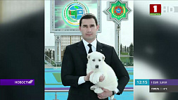 Новый президент Туркменистана - Сердар Бердымухамедов 