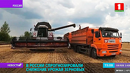 В России спрогнозировали снижение урожая зерновых
