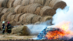 В Пуховичском районе сгорело 47 тонн соломы 