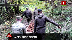 Под Минском мужчина искал грибы, а обнаружил боеприпасы