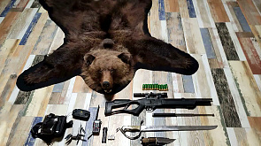 В Витебской области задержали браконьеров, использовавших вертолет для охоты на бурого медведя