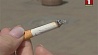 ВОЗ приветствует разработку в Беларуси декрета о госрегулировании оборота табака и электронных сигарет