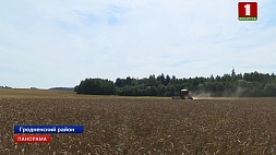 Планку в 3 миллиона тонн преодолели белорусские аграрии
