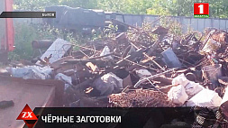 Милиция Быхова нашла хозяина склада, где хранилась 31 тонна лома черных металлов