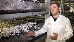 Уникальное производство покровного грунта запустили в Беларуси 