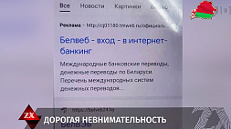 У жительницы Борисова с карт-счета кибермошенники украли 35 тыс. рублей