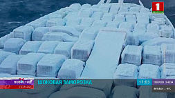 Во Владивосток привезли замороженные авто из Японии 