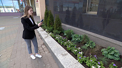 Цветущий челлендж! Высаживать клумбы возле домов или работы, а затем делиться фото - предлагает всем ЖКХ Минска