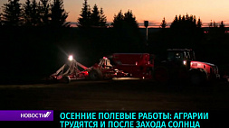 Осенние полевые работы: аграрии Беларуси активизировали работу по посеву озимых