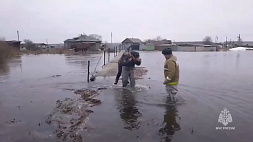 МЧС России: уровень воды в реке Урал в районе Орска начал снижаться