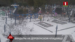 В Речицком районе задержаны вандалы, промышлявшие на местном кладбище 