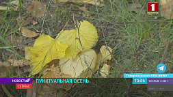 В первые осенние выходные в Беларуси ожидается резкое похолодание