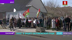 Нет забору в Беловежской пуще! Белорусы требуют остановить строительство