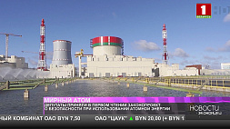  Депутаты Беларуси приняли в первом чтении законопроект о безопасности при использовании атомной энергии