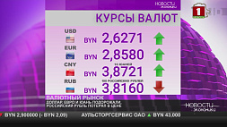 Курсы валют на 26 января: что произошло с российским рублем
