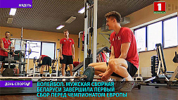 Мужская сборная Беларуси по волейболу завершила первый сбор перед чемпионатом Европы
