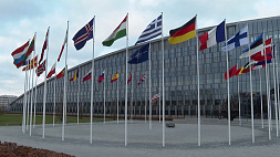 Будущее НАТО вызывает тревогу у членов альянса