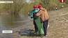 В Гомельской области - акция "Чистый водоем"
