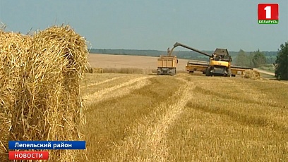 Поздравления с намолотом 3 тысяч тонн зерна принимает экипаж Витебской области