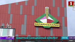 Россия готова обеспечить транзит белорусского калия в условиях западных санкций