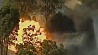 На австралийский Сидней наступают лесные пожары