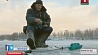 Зимняя рыбалка вновь становится небезопасной