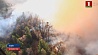 Уже не менее 74 человек стали жертвами разрушительных лесных пожаров в Калифорнии