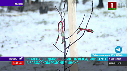 "Сад надежды" - 100 яблонь высадили в Заводском районе Минска