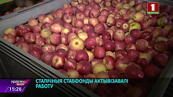 Картофеля и основных видов овощей хватит для Минска до конца весны