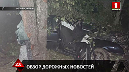 В Минске пешеход упал и попал под колеса автобуса, автомобиль Renault Stepway съехал в кювет и опрокинулся, Opel Vectra врезался в дерево, в Бресте сбили ребенка на велосипеде