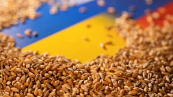 Польское правительство не допустит, чтобы украинское зерно "затопило" страну