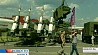 Выставка вооружения Милекс-2014 открылась в Минск-Арене
