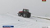 Масштабный  тест-драйв новых моделей тракторов "Беларус"