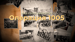 Фильм АТН "Операция 1005" расскажет о сокрытии следов нацистских преступлений на оккупированных территориях
