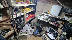 Убили и закопали в подвале - подробности жестокого убийства в Червенском районе 