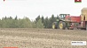 Три миллиона тонн зерна станут реальностью для Минской области