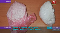 Канал поставки мефедрона из России пресечен в Могилеве