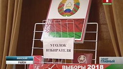 В Беларуси прошли выборы в местные Советы