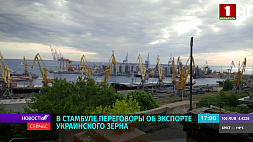 Будет ли экспорт украинского зерна через черноморские порты  - в Стамбуле идут переговоры