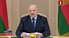 Президент Беларуси встретился с губернатором Карелии