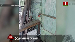 В Минском районе задержан дачный вор