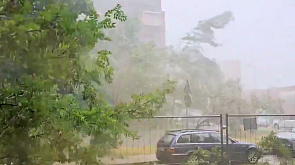 В Латвии бушует буря: повалены деревья, жителей призывают оставаться дома