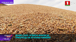 Жатва-2020. Аграрии области работают на общий каравай