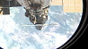 Беловежская пуща из космоса - как Василевская снимала земную поверхность