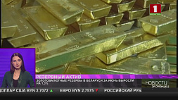 Золотовалютные резервы Беларуси за июнь выросли на 1,3 %