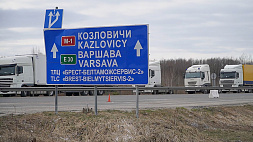 Ситуация на границе: польская сторона ввела ограничения на пропуск машин в Беларусь 