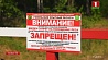 Запрет на посещение лесов в Беларуси введен уже в 82 районах