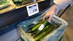 Немцы в ужасе от растущих цен на овощи 