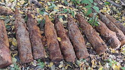 В лесу под Ляховичами грибник нашел 20 снарядов времен минувшей войны